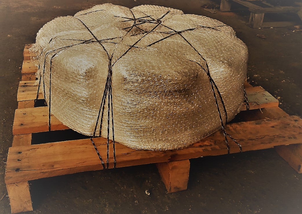 Rodas laranja com cubos separados — variedade de tamanhos